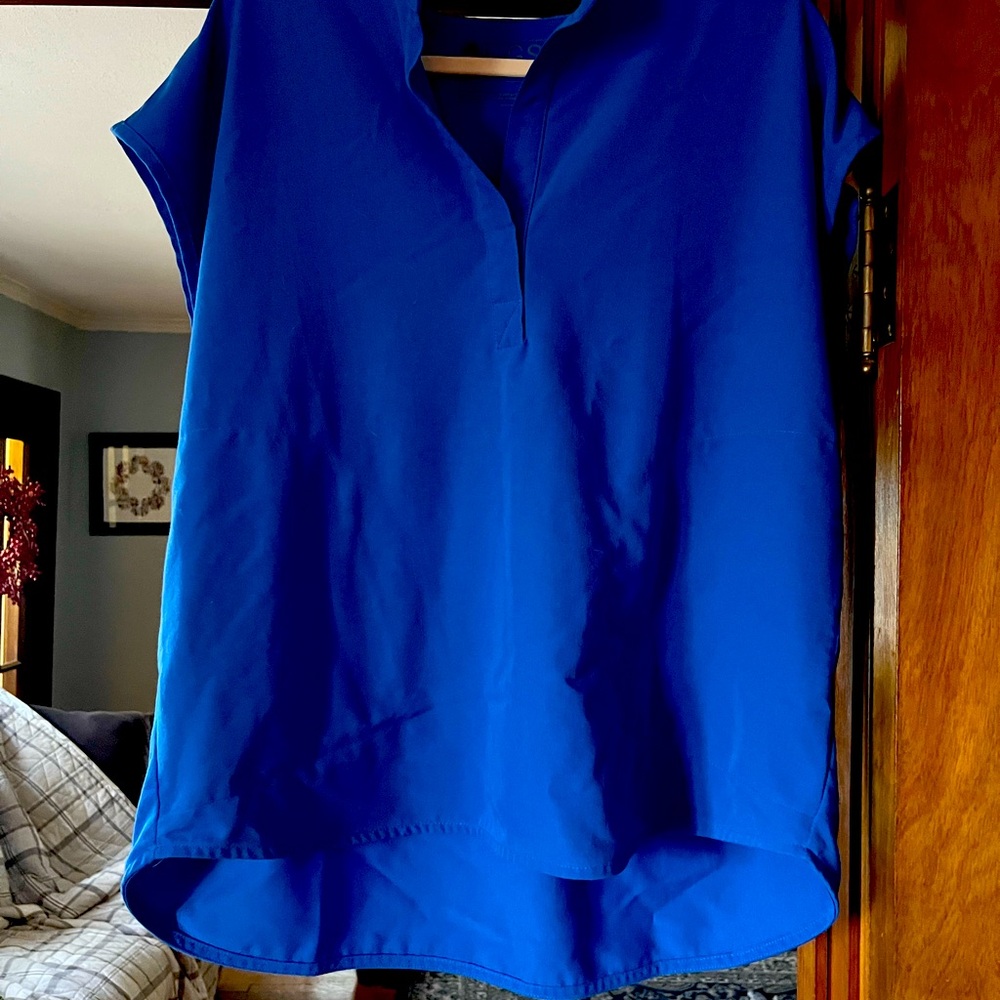 Large Royal Blue Figs top and bottoms